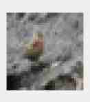 Insert picture description here