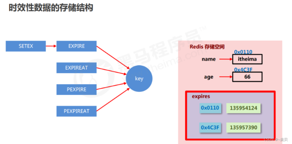 [ Failed to transfer the external chain picture , The origin station may have anti-theft chain mechanism , It is suggested to save the pictures and upload them directly (img-AqdmK4NS-1656904021222)(C:/Users/86158/AppData/Roaming/Typora/typora-user-images/image-20220704105537873.png)]