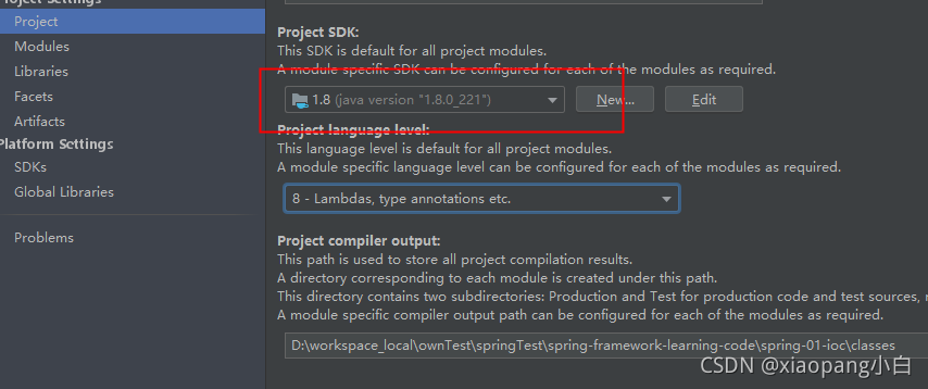 Record local project startup error: invalid source distribution: 8