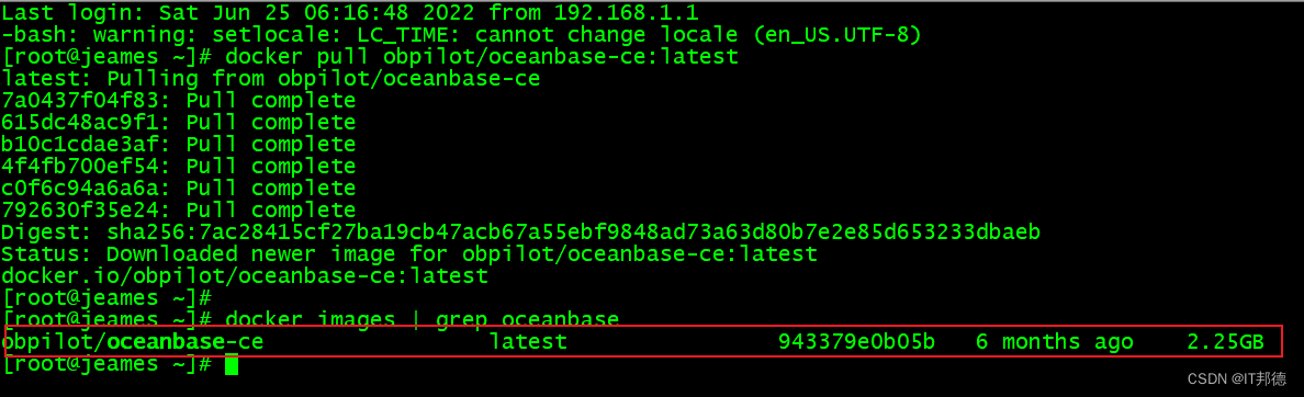 【云原生】-Docker安装部署分布式数据库 OceanBase