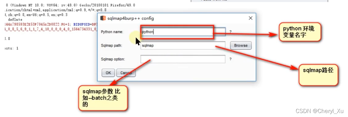 BurpSuite学习笔记