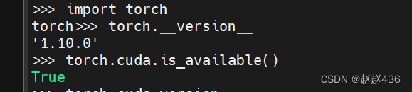 Pytorch GPU installation