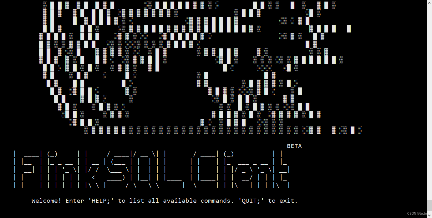 1.19.11.SQL客户端、启动SQL客户端、执行SQL查询、环境配置文件、重启策略、自定义函数（User-defined Functions）、构造函数参数 - 第2张