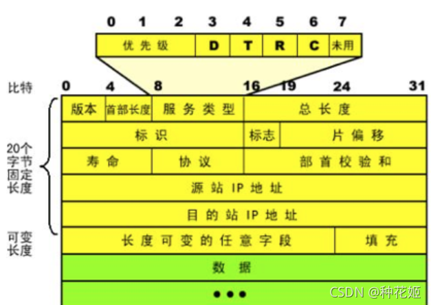 IP protocol and IP address