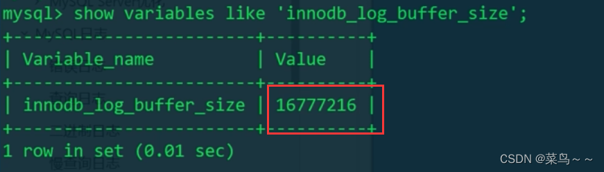 Insérer la description de l'image ici