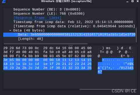 Hidden C2 tunnel -- use of icmpsh of ICMP