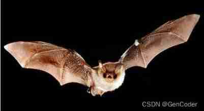 51 single chip microcomputer learning notes 7 -- Ultrasonic Ranging