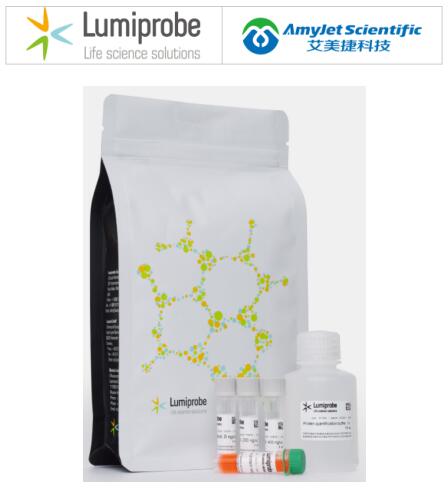 Lumiprobe 生物分子定量丨QuDye 蛋白定量试剂盒