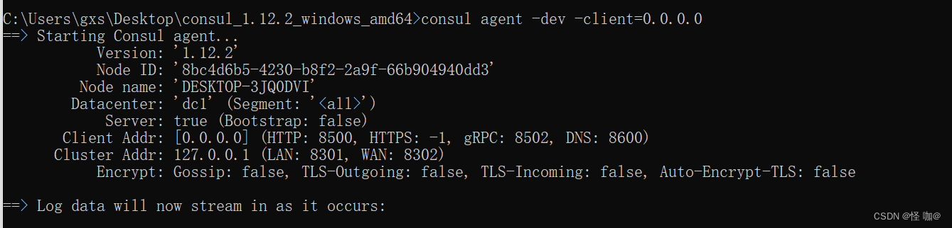 Introduction and construction of consul Registration Center