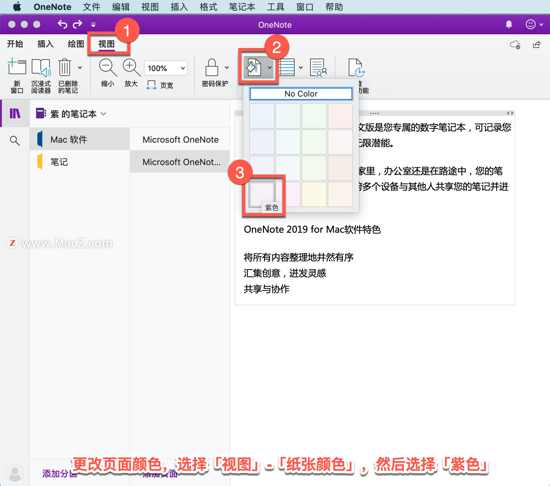 OneNote 教程，如何在 OneNote 中设置页面格式？