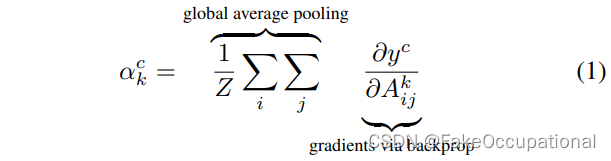 Network visualization: features of convolution kernel and CNN visualization (through the attention part of gradient visualization network)