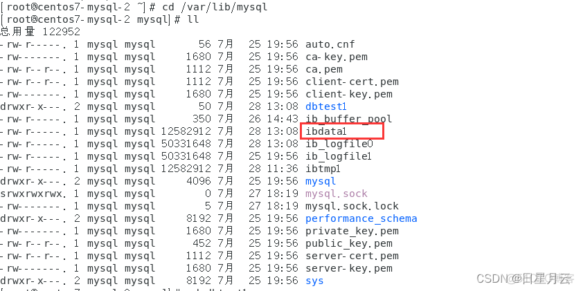 第02章 MySQL的数据目录【1.MySQL架构篇】【MySQL高级】_数据库_08