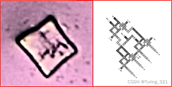  Self assembled QCA Medium GQD circuit 