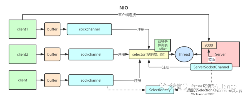 Differences among bio, NiO and AIO