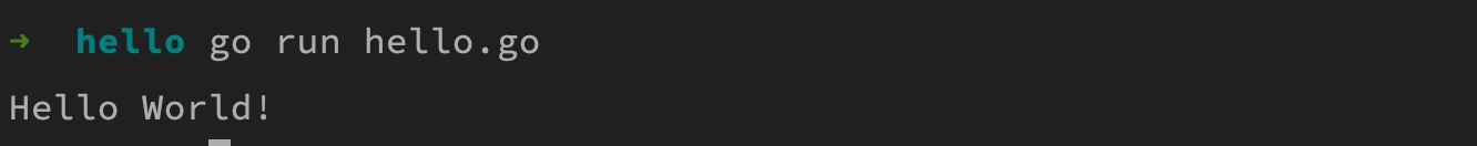 Go语言之Go 快速入门篇（一）：第一个 Go 程序 - 第11张