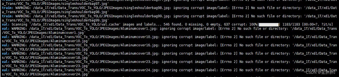 [warning] recognizing corrupt image/label during yolov5 training: [errno 2]...... it is impossible to complete the training data set. I will take you to solve it quickly