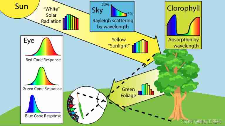 Insert picture description here 