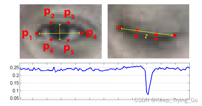 Dlib+opencv library for fatigue detection