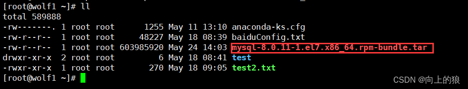 Linux Installation MySQL database details