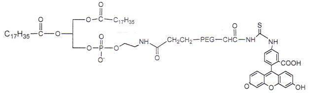 Fluorescein-PEG-DSPE Phospholipid-Polyethylene Glycol-Fluorescein Fluorescent Phospholipid PEG Derivatives