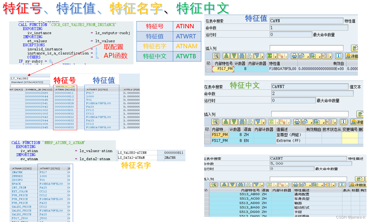 SAP 特征 特性 说明