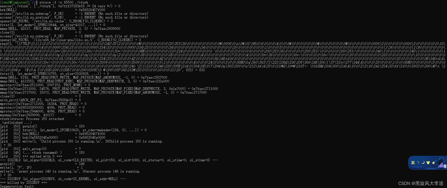 Segmentation fault occurs during VFORK execution