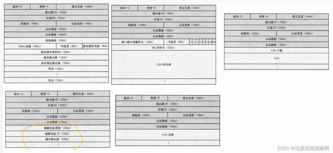 Five message formats of OSPF