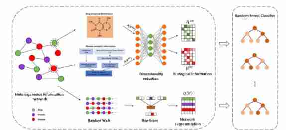 Bib | graph representation based on heterogeneous information network learning to predict drug disease association