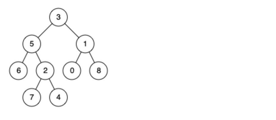 leetcode刷题：二叉树24（二叉树的最近公共祖先）