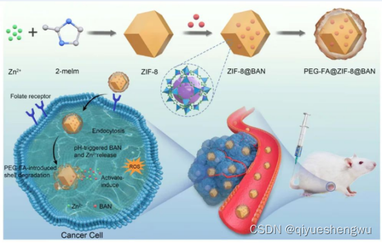 Folic acid modified metal organic framework (zif-8) baicalin loaded metal organic framework composite magnetic material (AU- <span class=