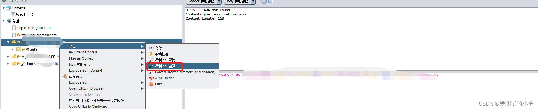 OWASP ZAP安全测试工具使用教程(高级)