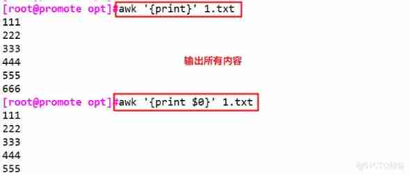 Shell Programming regular expression and text processor _sed_51