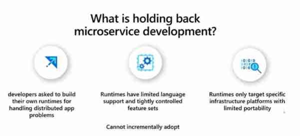 what_is_holding_back_microservice_development.png