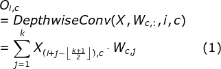 A convolution substitution of attention mechanism