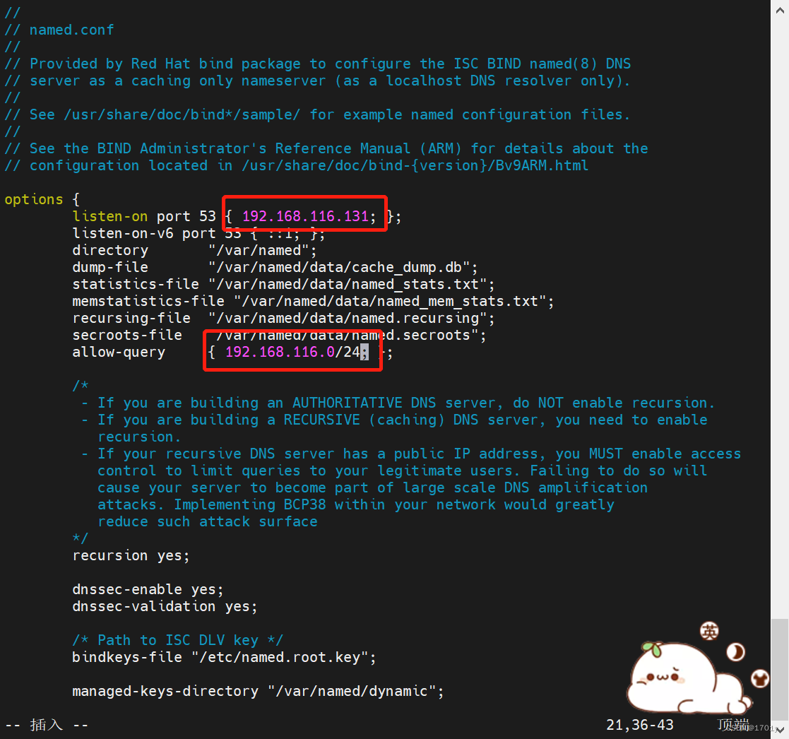 DNS domain name resolution