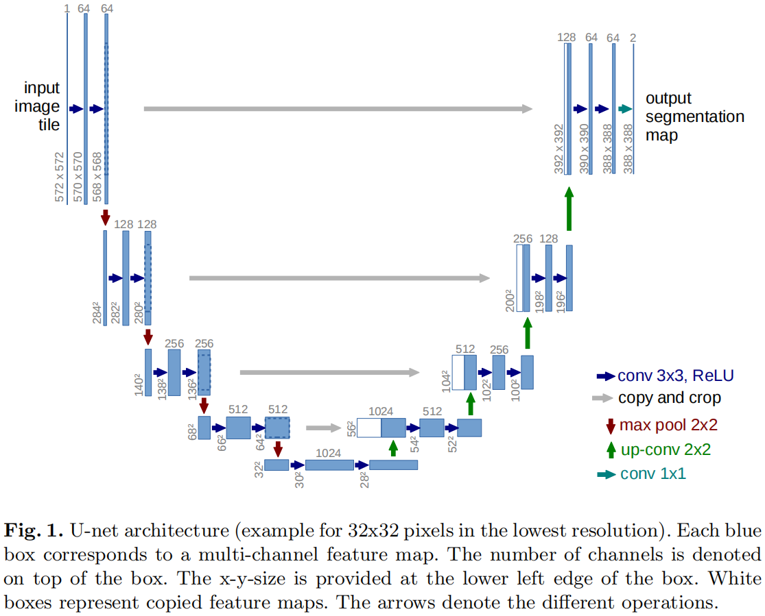 U-Net: Convolutional Networks for Biomedical Images Segmentation