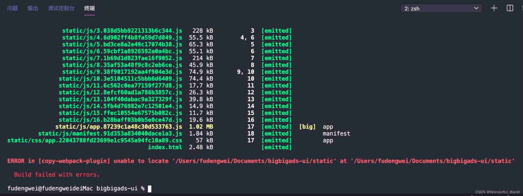 NPM run build error