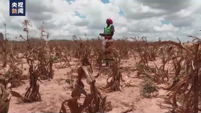 通胀持续 肯尼亚粮食安全引关注