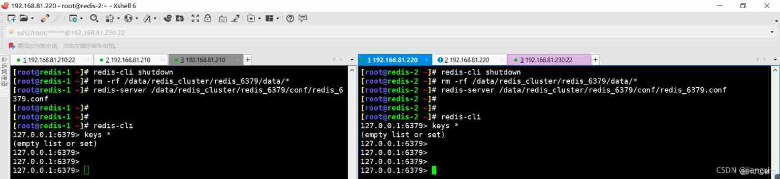 Redis Master slave replication cluster and recovery of abnormal data loss #yyds Dry inventory #_ Master slave copy _04