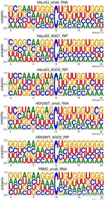 易基因｜RNA m5C甲基化测序(RNA-BS)技术介绍