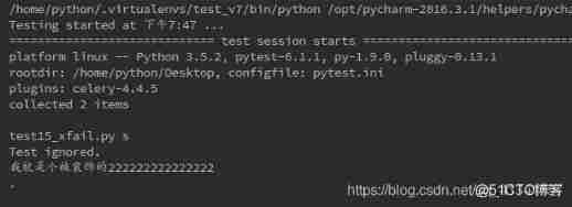 Pytest Basic use of _ Abnormal information _23