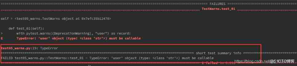 Pytest Basic use of _ The test case _09