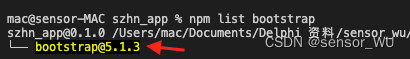 How to install the specified version package with NPM and view the version number