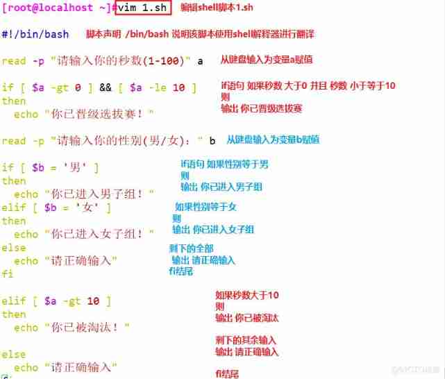 shell Conditional statements for programming _ The operator _20