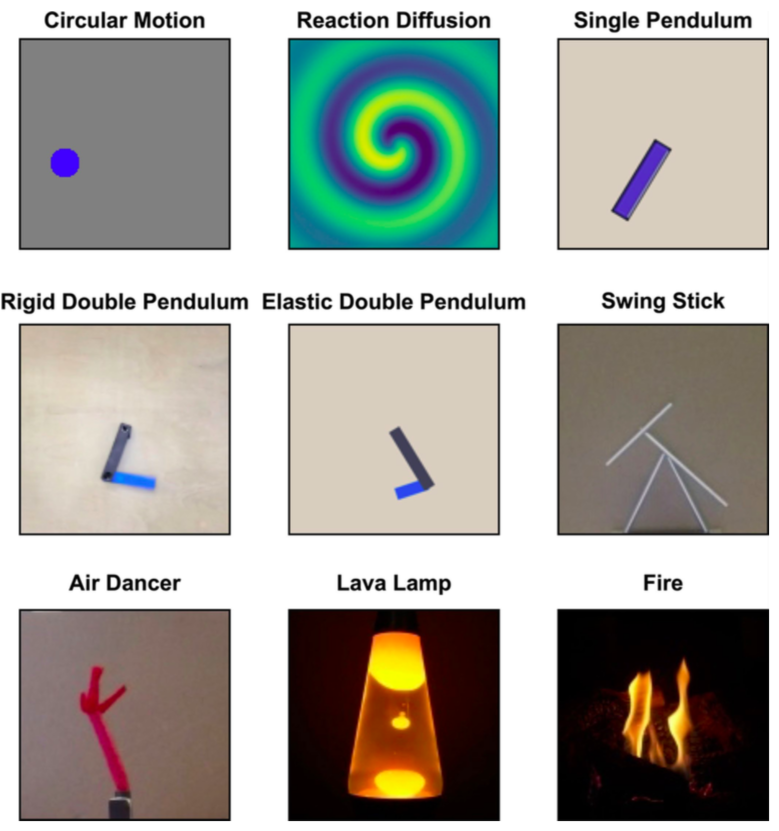 AI Scientist: Automatically discover hidden state variables of physical systems