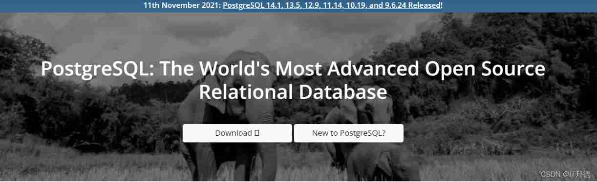 Black horse PostgreSQL, why is it black in the end