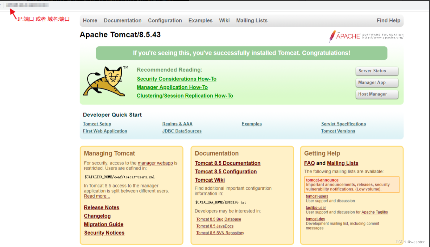 云服务器ECS远程监控