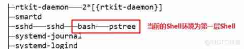 Shell Basic script editing specifications and variables _bash_25