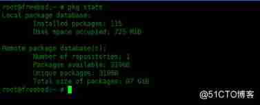  stay FreeBSD in pkg Examples of package manager usage _ Installation package _11