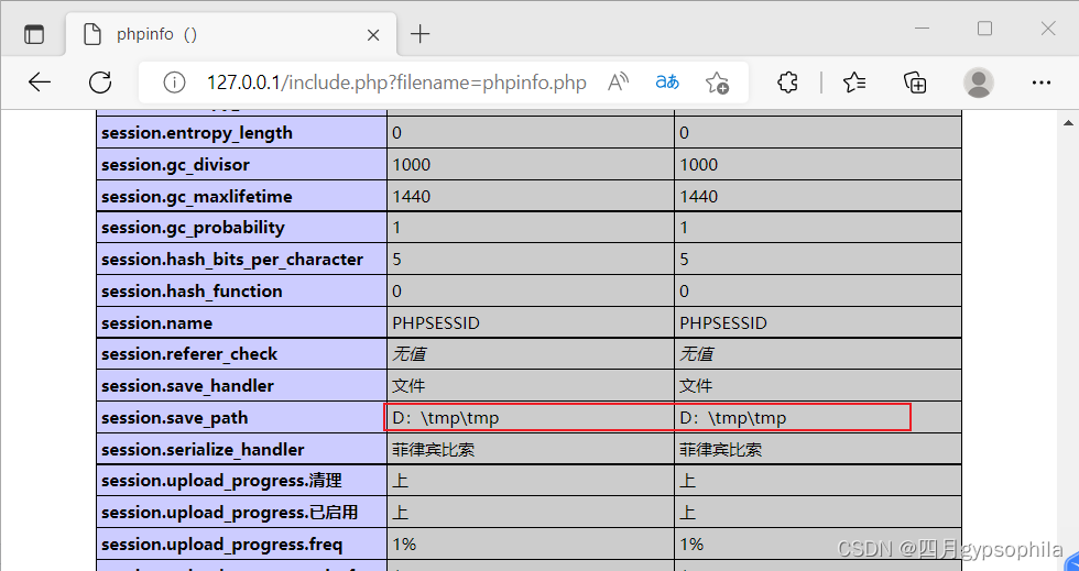 File contains vulnerability